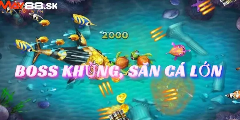 Boss khủng và săn cá lớn