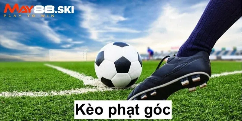 Đôi nét về kèo phạt góc trong cá độ bóng đá