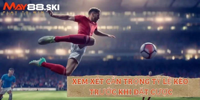 Phân tích, xem xét cẩn trọng tỷ lệ kèo trước khi đặt cược