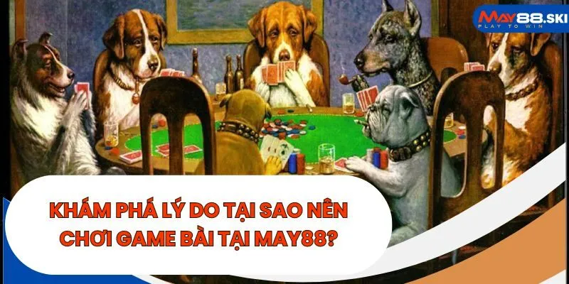 Khám phá lý do tại sao nên chơi game bài tại May88?