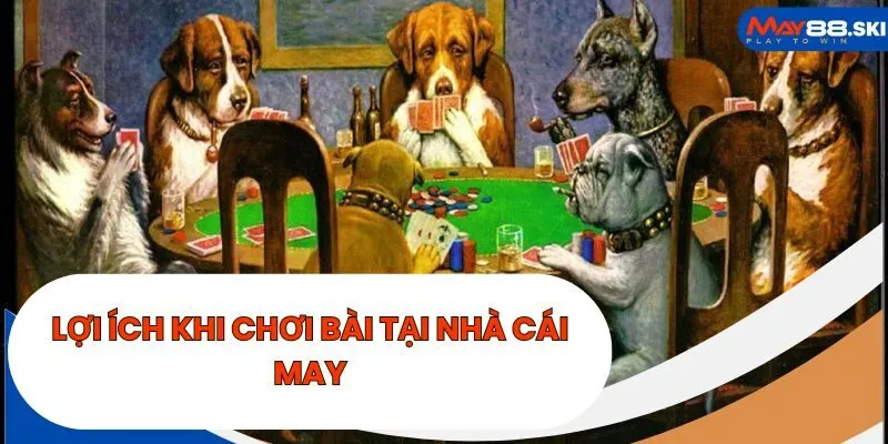 Lợi ích khi chơi bài tại nhà cái May 88