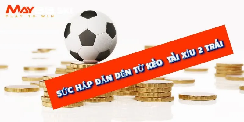 Hướng dẫn cách tính thắng thua kèo tài xỉu 2 trái