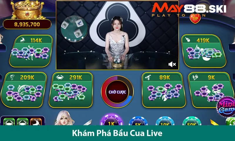 Cách Chơi Bầu Cua Live Thành Công Trên Nền Tảng Online