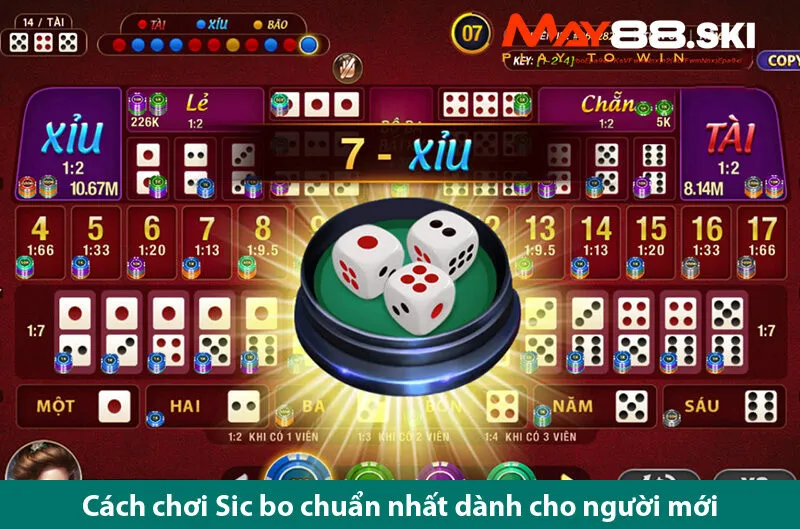 Cách chơi sic bo chuẩn trên nền tảng cá cược trực tuyến
