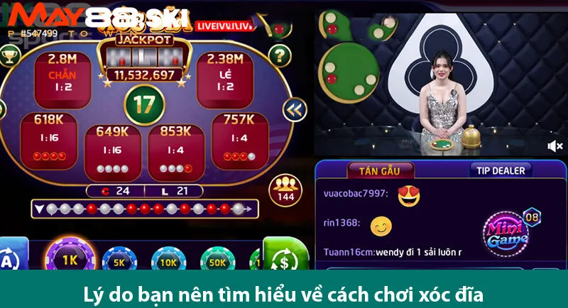 Phương pháp đặt cược xóc đĩa hiệu quả từ chuyên gia cá cược