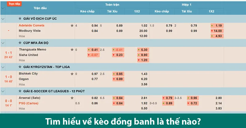Cách đọc kèo đồng banh và kinh nghiệm soi kèo chuẩn