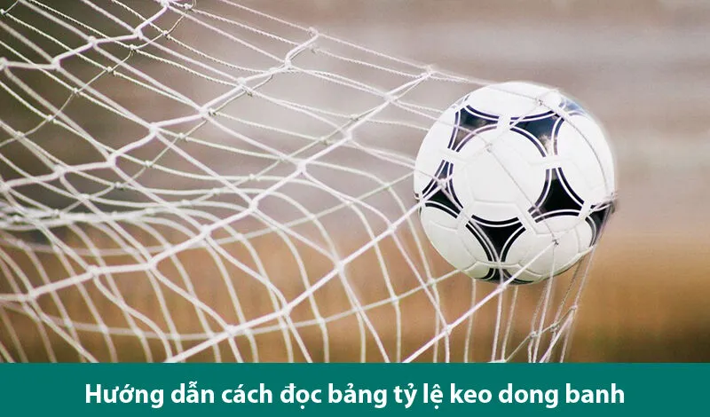 Cách đọc kèo đồng banh và kinh nghiệm soi kèo chuẩn
